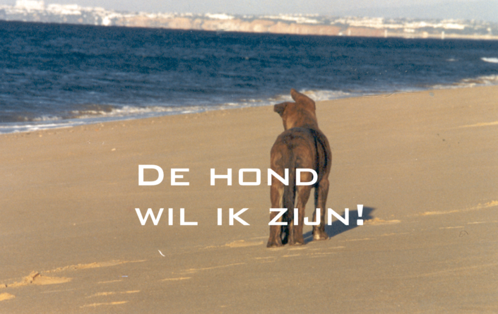 De Hond wil ik zijn! Mijn hond jaren geleden.