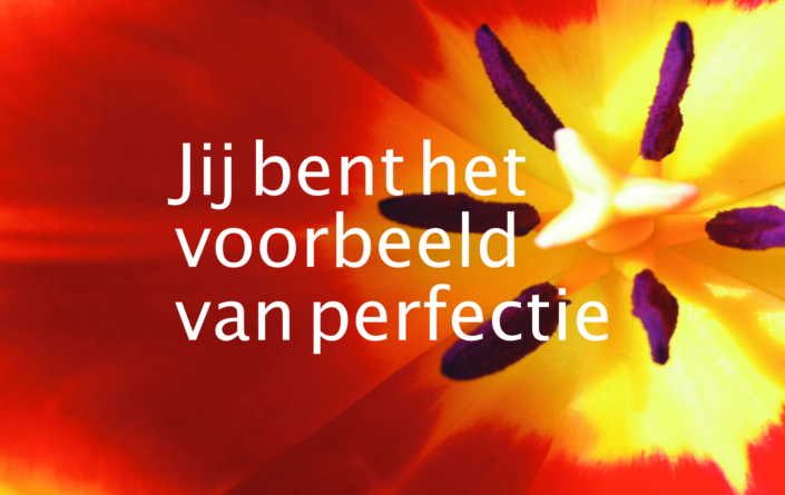 Jij bent het vootbeeld van perfectie